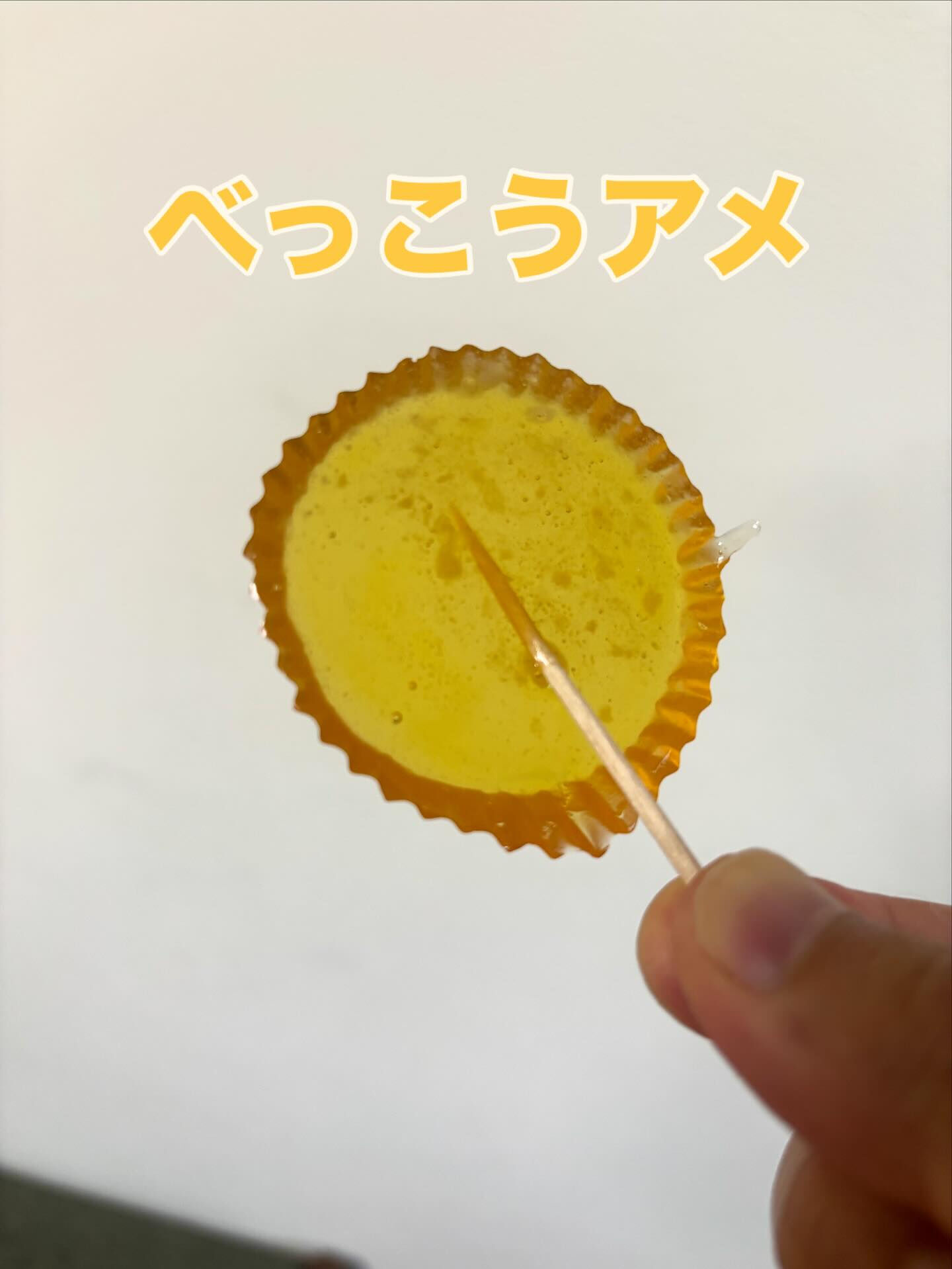 夏休み熱中イベント②食の世界🍽️