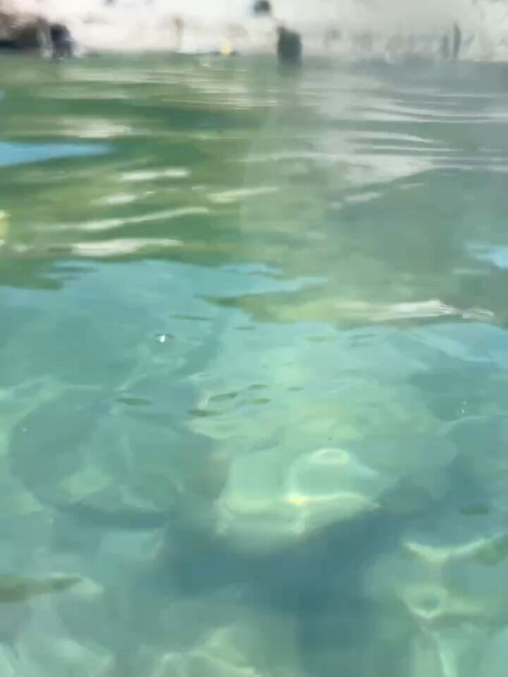 新島サマーキャンプ日記【2日目】🏝️